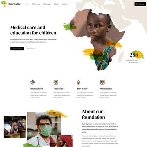 Charity / non-profit Charity / non-profit