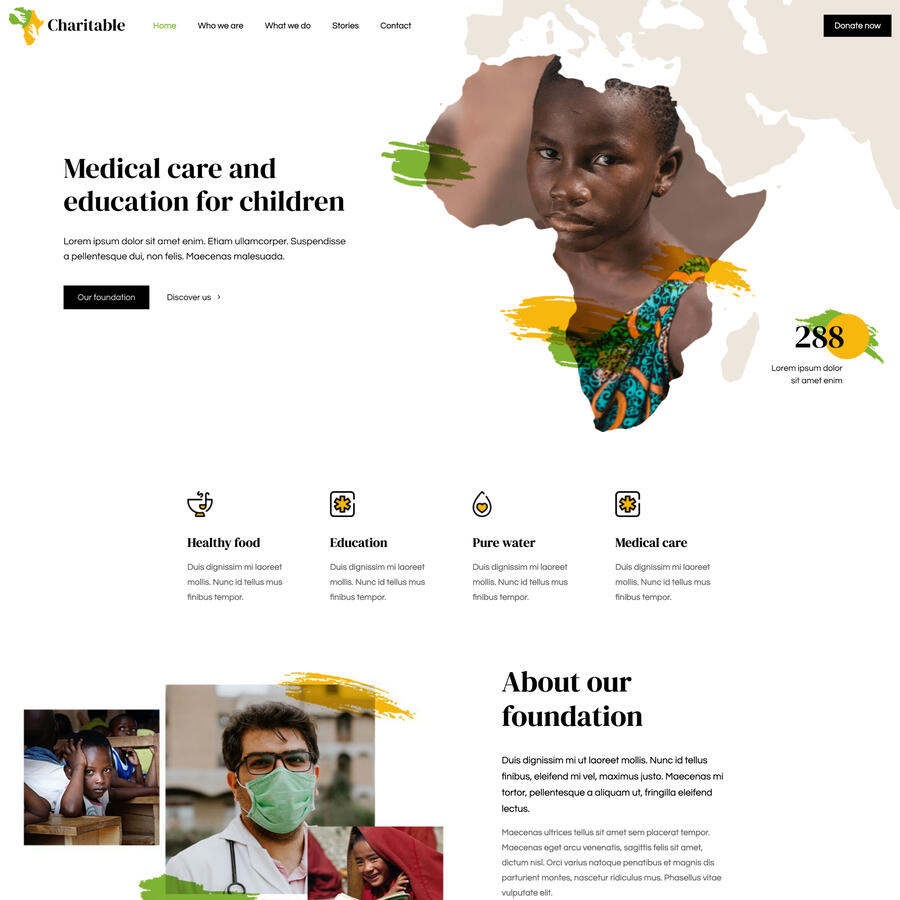 Charity / non-profit Charity / non-profit